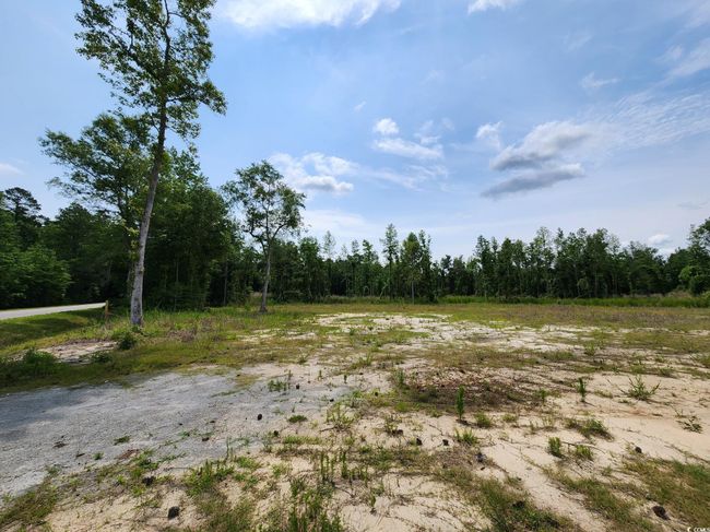5375 Long Branch Swamp Rd, Home with 0 bedrooms, 0 bathrooms and null parking in Nichols SC | Image 5