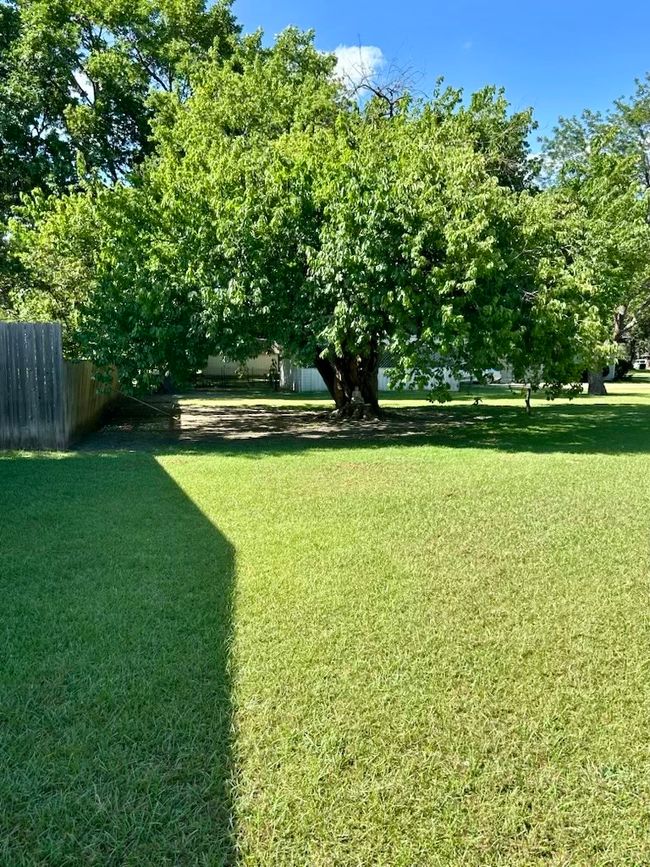 View of yard | Image 6