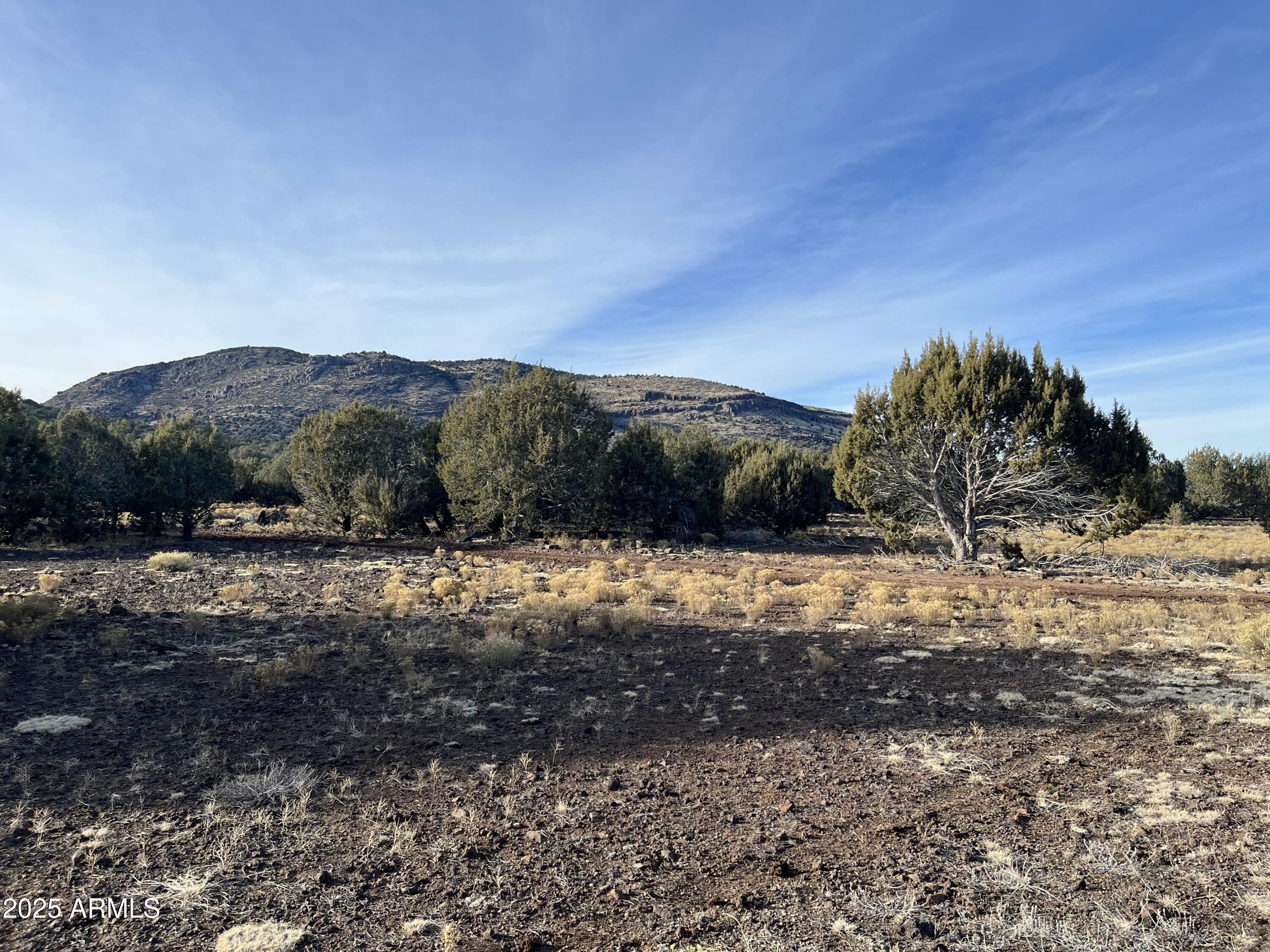 Land in Williams