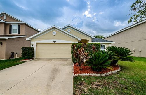 20229 Natures Spirit Dr, TAMPA, FL, 33647-3582 | Card Image