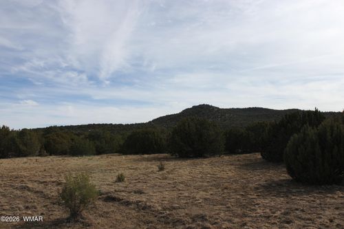 45 County Road 3035, Concho, AZ, 85924 | Card Image
