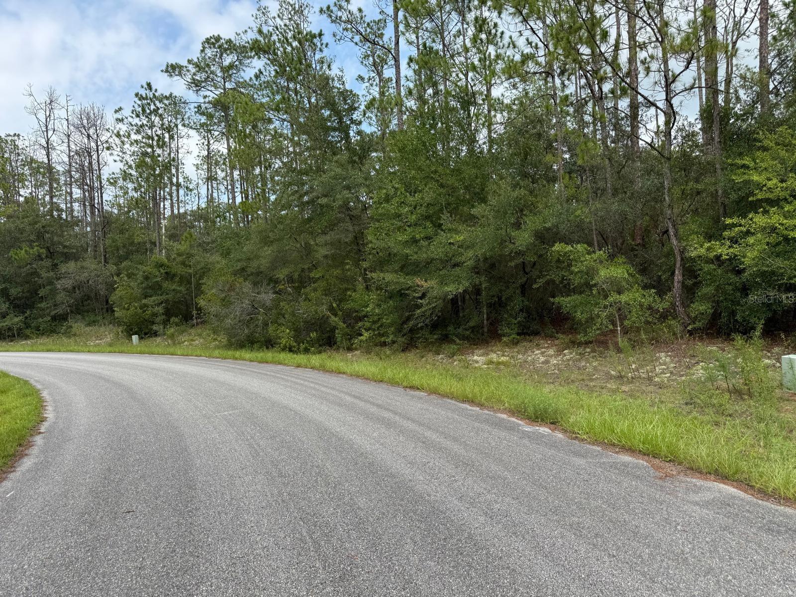 Land in CITRUS SPRINGS 4