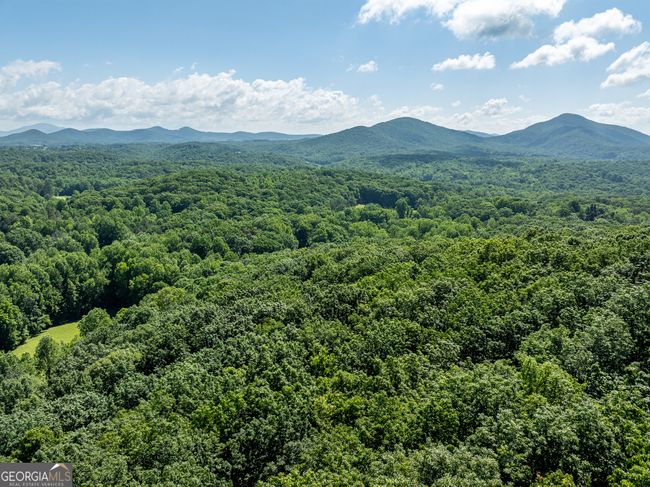 3.65AC Emory Stephens Rd, Home with 0 bedrooms, 0 bathrooms and null parking in Murrayville GA | Image 15