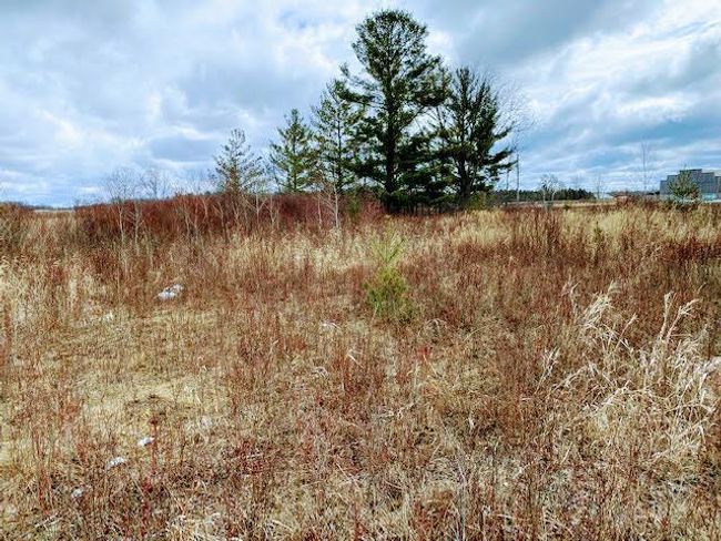 23 115 Th Ave, Home with 0 bedrooms, 0 bathrooms and null parking in BRAHAM MN | Image 11