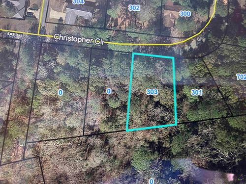 303 Christopher Cir, Montezuma, GA, 31063-1053 | Card Image