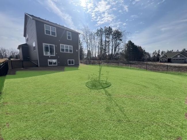 Backyard | Image 22