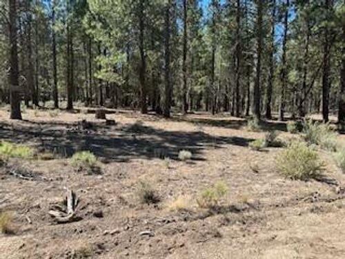 lot-11-0 Gray Wolf Ln, Chiloquin, OR, 97624 | Card Image