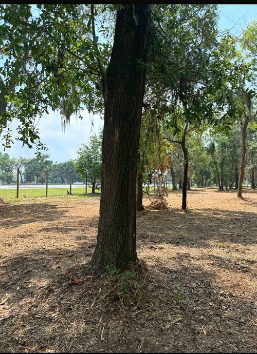 0 Pikes Pond Rd, Lake Park, GA, 31636 | Card Image
