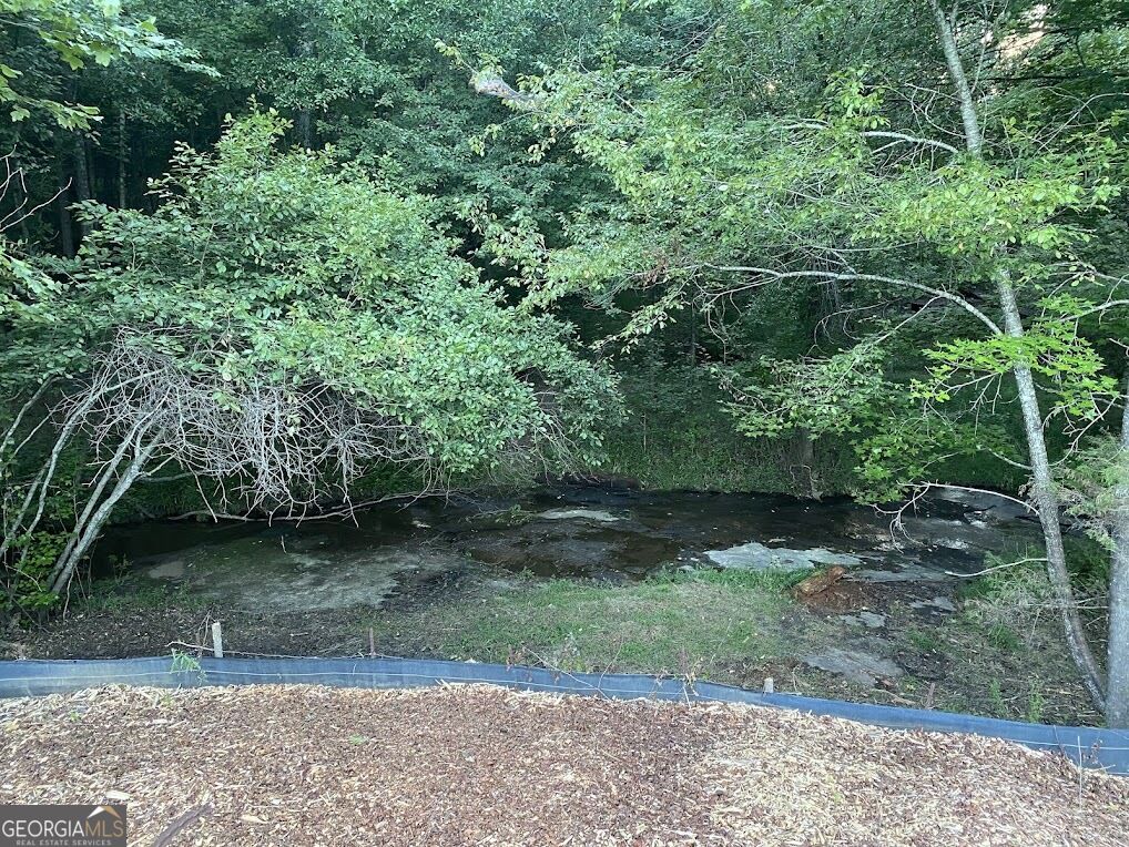 Land in Winder 4
