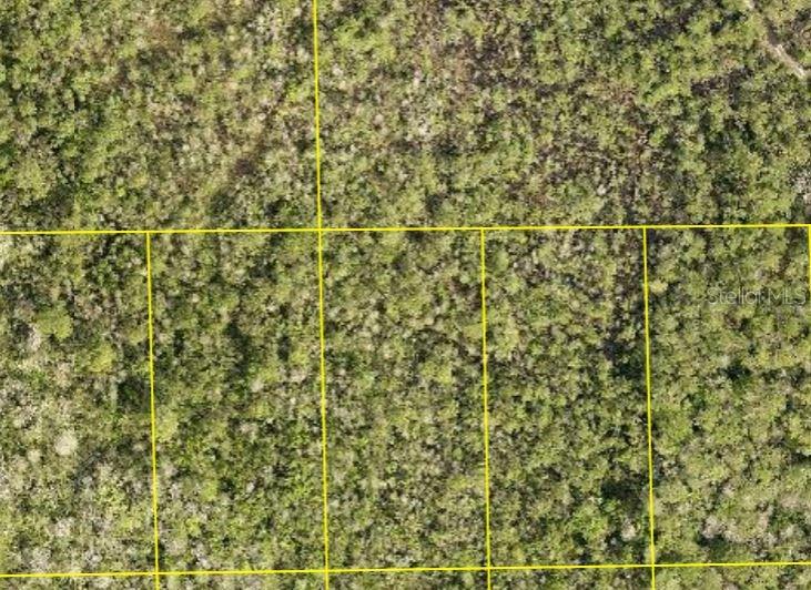 Land in DELAND