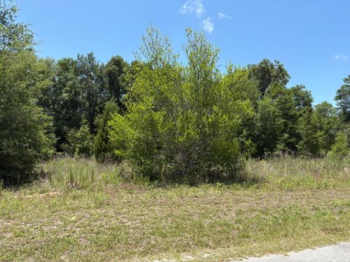 6642 N Flower Ter, Hernando, FL, 34442-2591 | Card Image