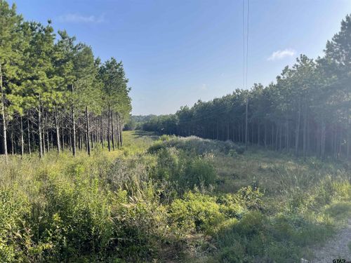 TBD (Lot 45) County Road 1060, Center, TX, 75935 | Card Image