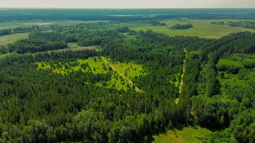 Tract 1 - TBD Hubbard Line Rd, Menahga, MN, 56464 | Card Image