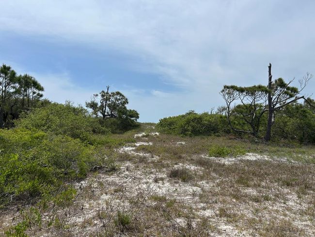 View of lot from the road | Image 4