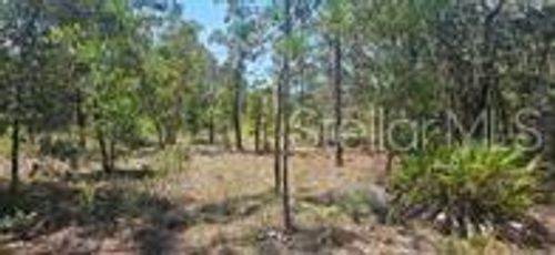 000 Ne 67th Ln, BRONSON, FL, 32621 | Card Image