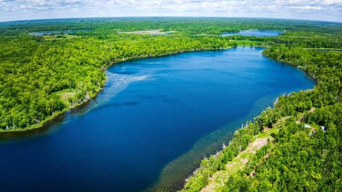 0000 Deervine Trl Ne, Tenstrike, MN, 56683 | Card Image