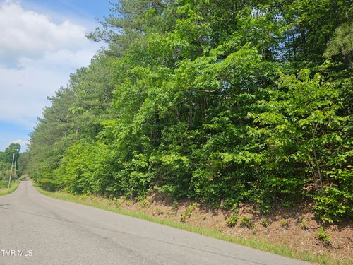 Tbd Old Hurricane Road, Wise, VA, 24293 | Card Image