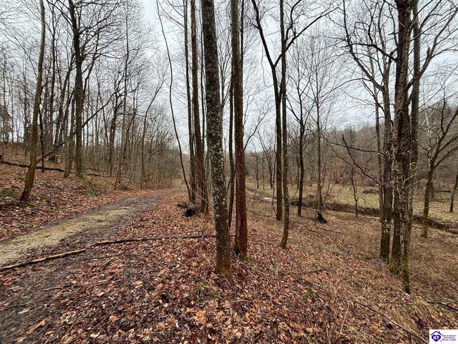 627 New State Rd, Home with 0 bedrooms, 0 bathrooms and null parking in Webster KY | Image 15