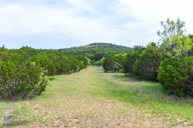 Mountain view featuring a forest | Image 5