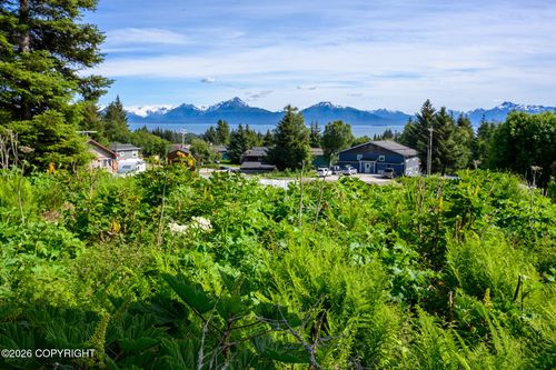 167 E Danview Ave, Homer, AK, 99603-7123 | Card Image