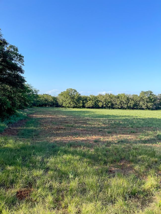 View of yard featuring a view of countryside | Image 35