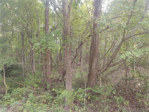 0 New Point Comfort Hwy, Susan, VA, 23163 | Card Image