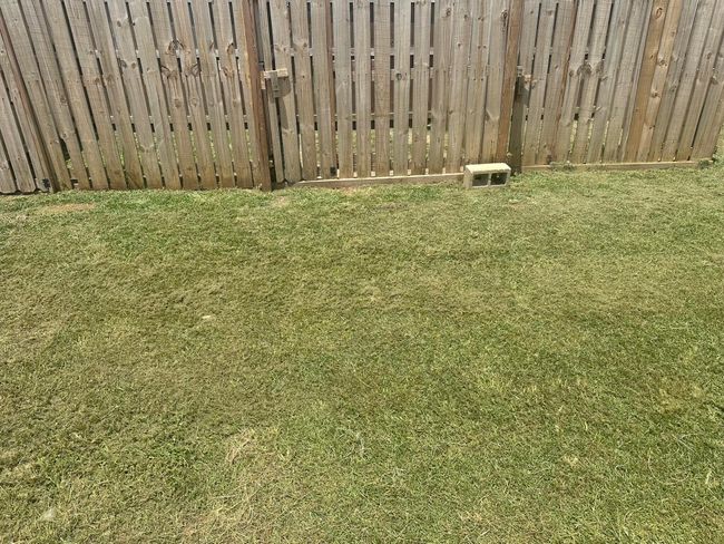 Fence | Image 12