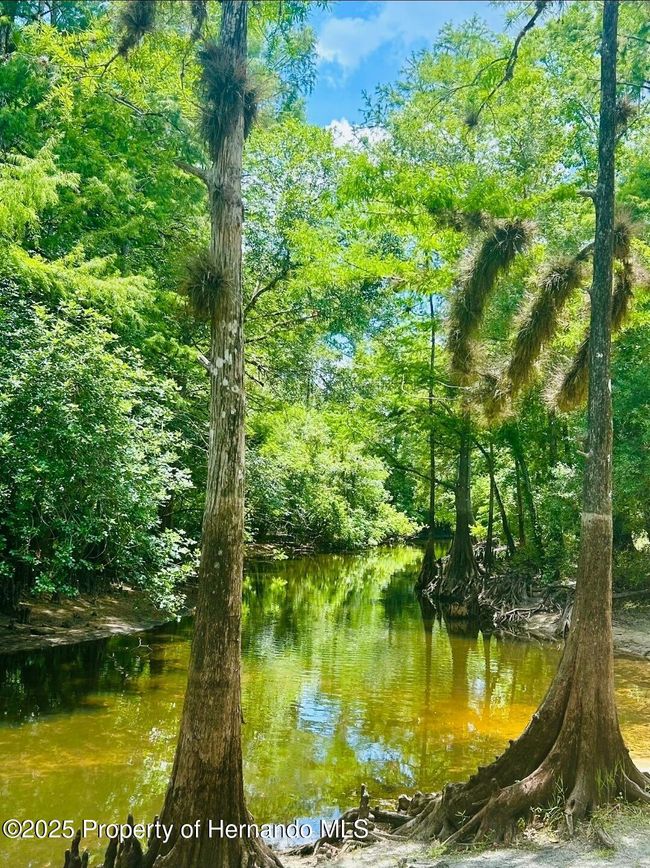 8732 County Road 647, House other with 3 bedrooms, 1 bathrooms and null parking in Bushnell FL | Image 60