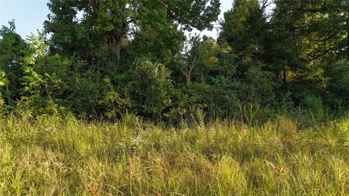TBD Long Dr, Onalaska, TX, 77360 | Card Image