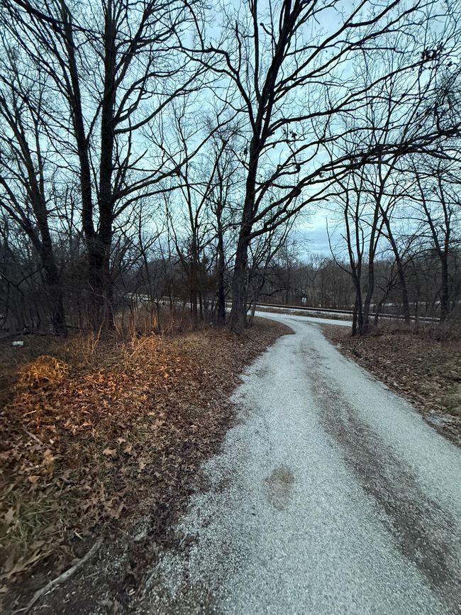 6 | Image 11