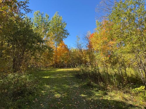 51265 Vagabond Loop, Bemidji, MN, 56601-6528 | Card Image