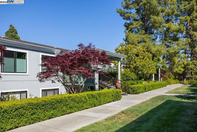 APT-8 - 1233 Singingwood Ct, Condo with 2 bedrooms, 2 bathrooms and 1 parking in Walnut Creek CA | Image 18