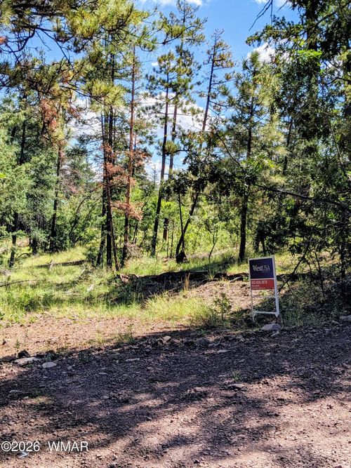 6 County Road 2073, Alpine, AZ, 85920 | Card Image