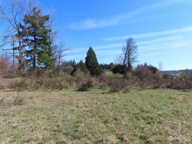 B - 107 Avery Rd W, Home with 0 bedrooms, 0 bathrooms and null parking in Napavine WA | Image 33
