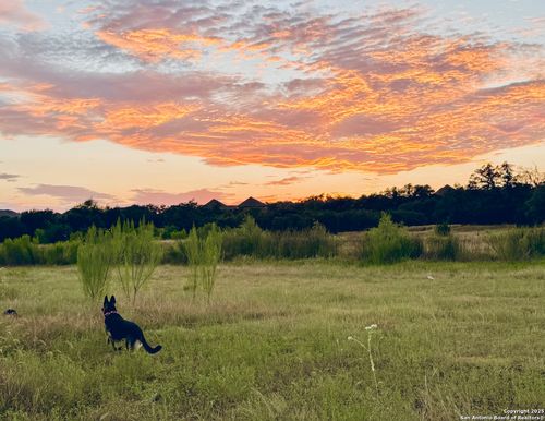 1400 Knoll Schwope Rd, Spring Branch, TX, 78070-2271 | Card Image