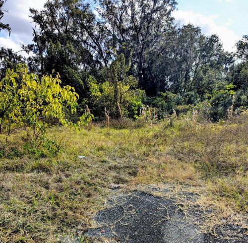 808 Sw 3rd St, OCALA, FL, 34471-1560 | Card Image