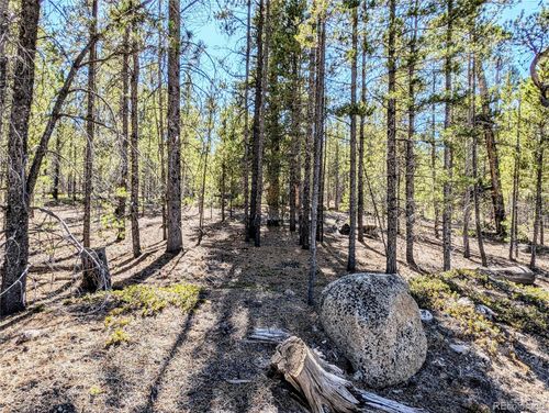 361 Hemlock Drive, Twin Lakes, CO, 81251 | Card Image