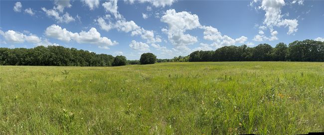View of tree filled area featuring a view of countryside | Image 6
