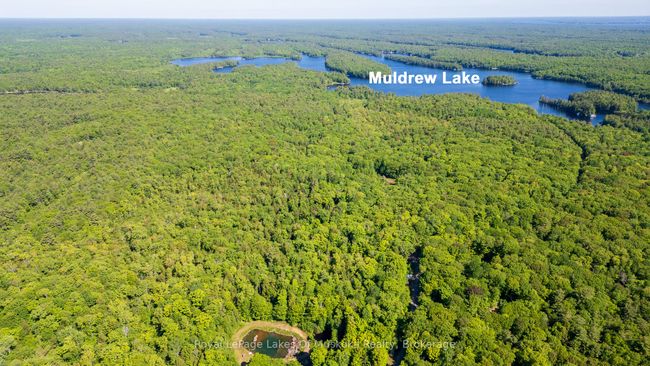 1061 S Muldrew Lake Rd, Home with 0 bedrooms, 0 bathrooms and null parking in Kilworthy ON | Image 4