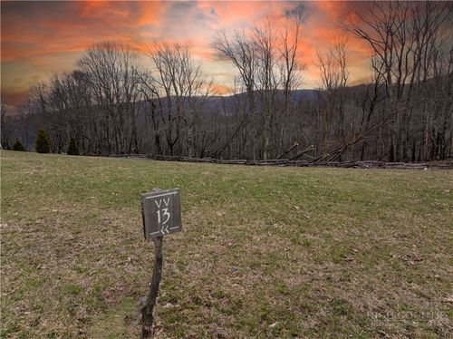 VV13 Vineyard Trl, Elk Park, NC, 28622 | Card Image