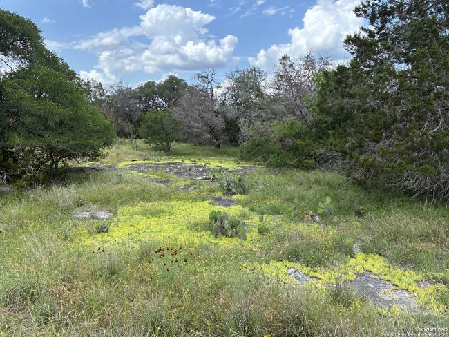 187 Bluff View Dr, Home with 0 bedrooms, 0 bathrooms and null parking in Spring Branch TX | Image 7