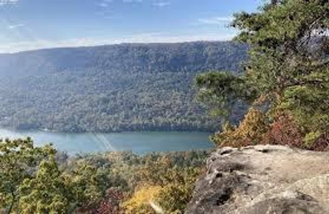 0 Highway 27, Home with 0 bedrooms, 0 bathrooms and null parking in Whitwell TN | Image 11
