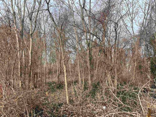 1197 Roush Ave, Vincennes, IN, 47591 | Card Image