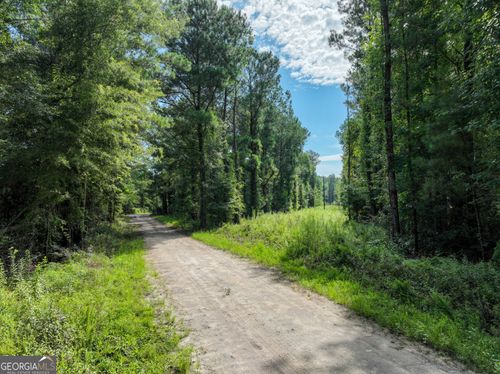 t04-497 River Rd, Dry Branch, GA, 31020-4732 | Card Image