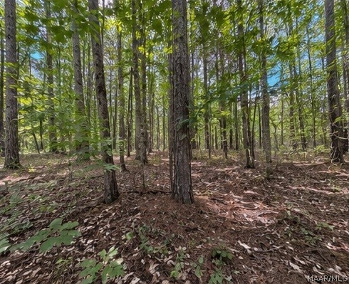 Land in Whatley 5