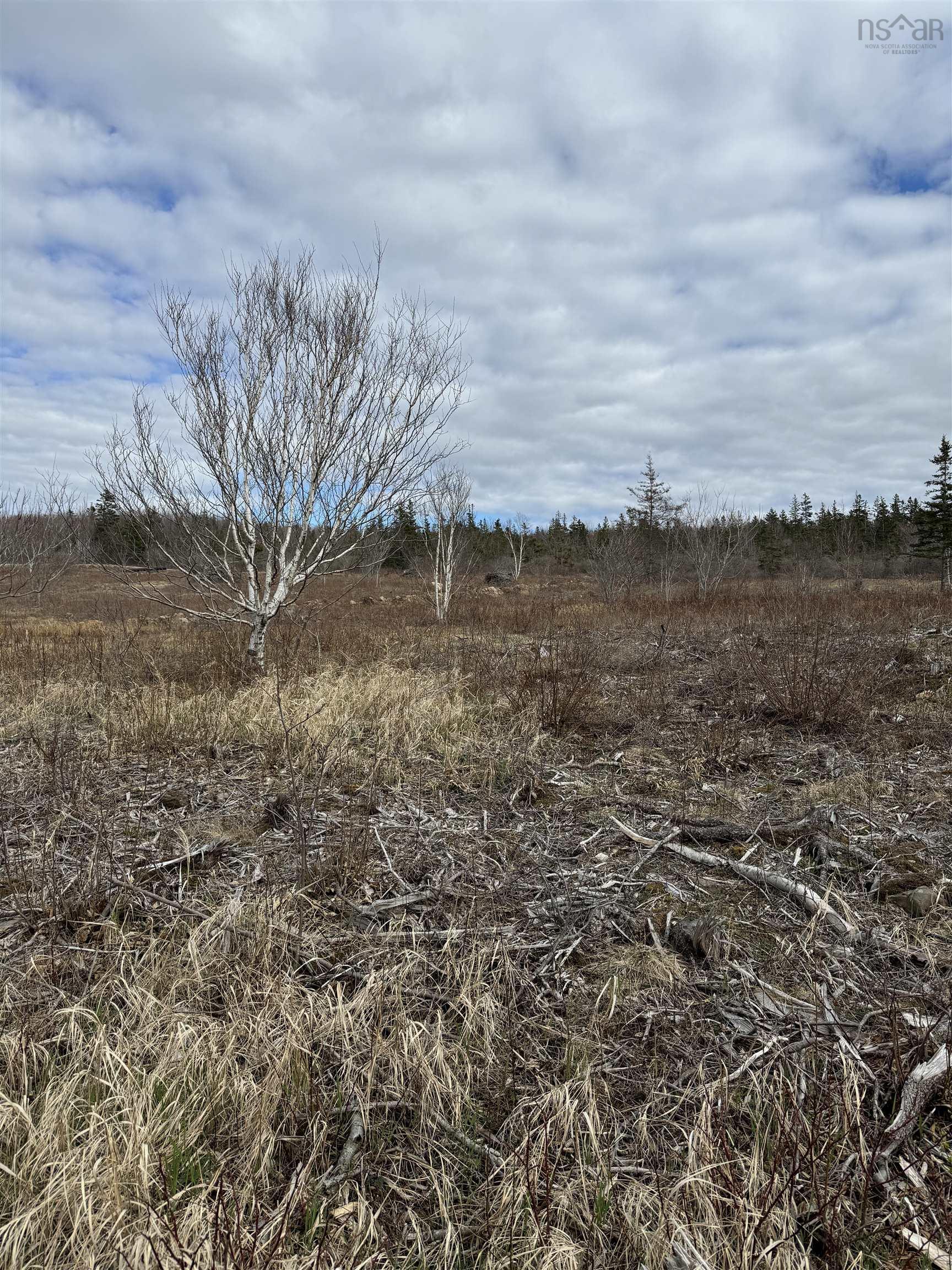 Land in Phinneys Cove 5