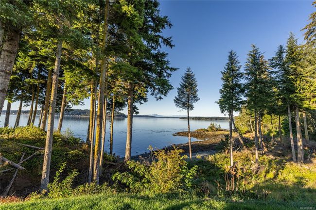 LEASEHOLD - 1 Alder Bay Rd, House other with 1 bedrooms, 0 bathrooms and 1 parking in Port Mcneill BC | Image 25