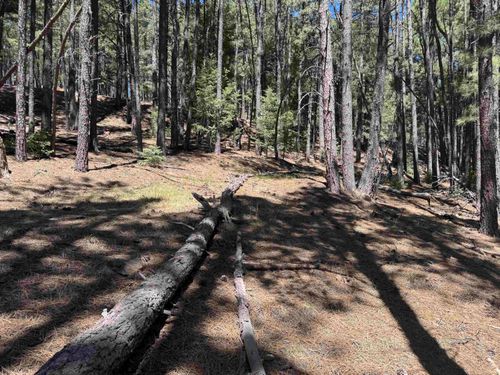 Lot 6 Blk B Sarazen Terrace, Angel Fire, NM, 87710 | Card Image