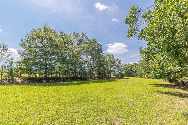 1130 Coan Dr, Home with 3 bedrooms, 2 bathrooms and null parking in Locust Grove GA | Image 57