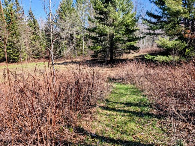 N12912 State Highway 13, House other with 2 bedrooms, 1 bathrooms and null parking in Fifield WI | Image 39